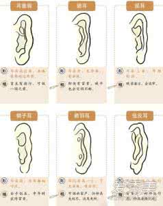 看手相面相的书籍 耳朵面相解惑:耳朵看相常遇到的问题解惑