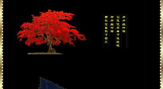 拉赫玛尼诺夫音画难度 《天堂海》【FLASH 极品音画】