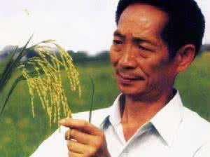 为什么都在批判袁隆平 袁隆平