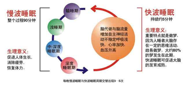 谷维素和维生素b1睡眠 谷维素，全方位保护你的睡眠
