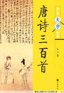 冬至日遇京使发寄舍弟 京使回自临川得从兄书寄诗依韵和