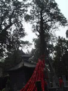 廖化墓 廖化活了多少岁 廖化墓在哪里