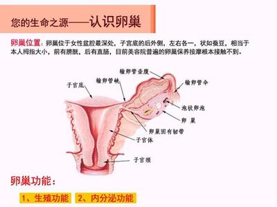 内分泌激素失调 保持做爱时阴道滋润有哪些方法：激素失调引发干涩