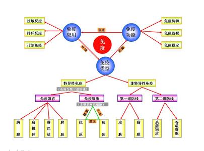 双向调节免疫疗法 免疫调节 免疫失调应该怎么办