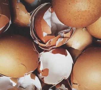 君子兰喜欢鸡蛋壳吗 君子兰喜欢鸡蛋壳 女友打了十个鸡蛋却不吃，竟然拉着我一块吃蛋壳！