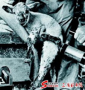 穿梭猛鬼城1986百度云 冻结在1986年的“鬼城”｜切尔诺贝利核灾30周年