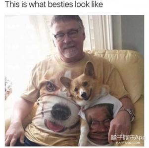 狗狗的感动到哭故事 这些狗狗一个动作就能把你感动哭