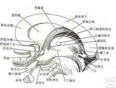 怎么治疗继发性闭经 继发性闭经 继发性闭经怎么治疗