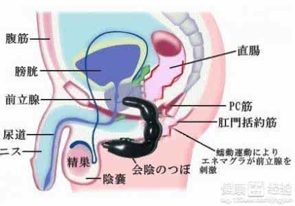 男性尿路感染的症状 男性尿路感染的症状 什么导致男性尿路感染