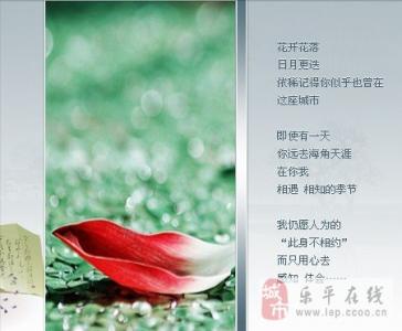 温暖心灵的情感美文 一叶秋,怎知心【情感美文】