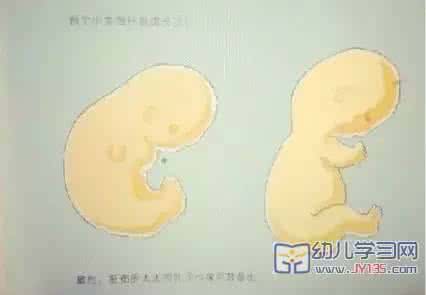 性教育读本吓到家长 幼儿园性教育—精子和卵子的故事，让家长惊呆了！