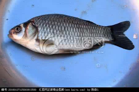 钓鲫鱼怎样调漂 冬季竞技池瓜子鲫调漂心得