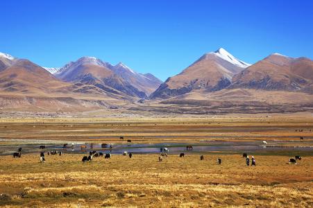 羌塘地形图 羌塘高原