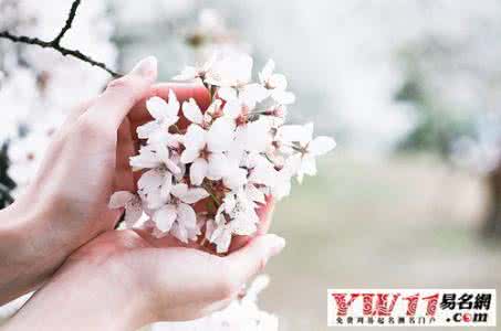 花开花落终有时 花开花落终有落，人来人去终离别