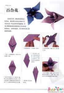 百合花折纸教程 折纸教程----“百合”