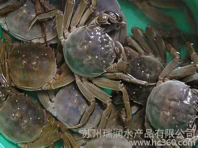 淡水蟹养殖 淡水蟹怎么养殖?