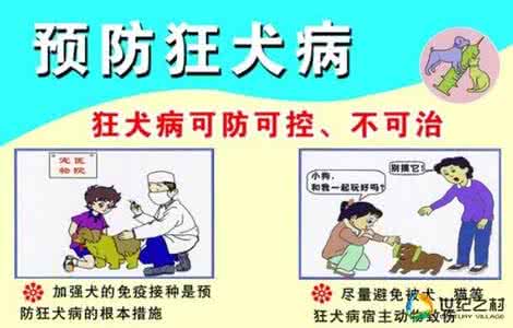 狂犬病早期症状有哪些 狂犬病症状 狂犬病有哪些表现
