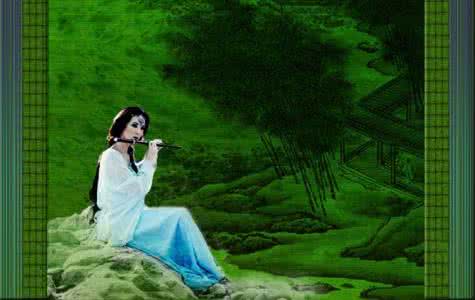 极品公红嘴相思鸟叫声 从此不相思【极品音画】