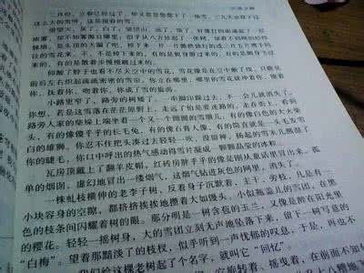 与平凡相伴作文600字 因为平凡，我懂得作文650字