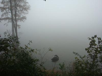 清静经 冬雨中寻一段莫名的清静