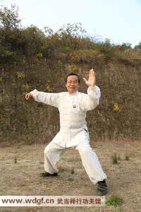 太极拳技击 武术狂人,实战技击家“李紫剑”对“太极拳”的心声!