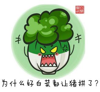 白菜被猪拱了什么意思 白菜是什么意思？好白菜都让猪拱了！