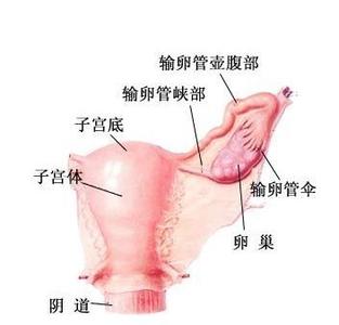 治疗附件炎最好方法 治疗附件炎最好方法 附件炎怎么治?盘点5大治疗方法