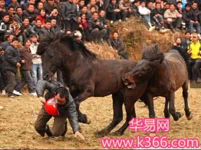 梦见狗咬人 梦见狗咬人 梦见马咬人