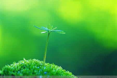 天底下只有三件事 天底下只有这三件事