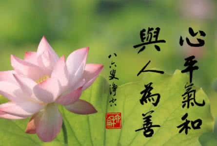 随佛法师十二因缘视频 【法师开示】善顺因缘，做事就会很稳当