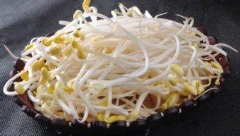 青春如火 豆芽 小凤 多吃豆芽可以减少皱纹葆青春 还可抗疲劳