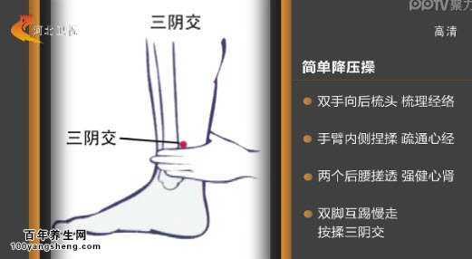 家政女皇脆皮虾 20151017家政女皇视频和笔记:如何分辨注胶虾,如何辨别陈米