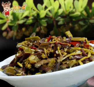 酱腌菜的做法 【泡酱腌菜】干蕨菜的做法大全