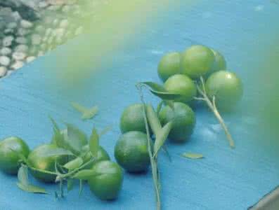 桔子皮的功效与作用 你肯定不知道桔子皮还可以这样用