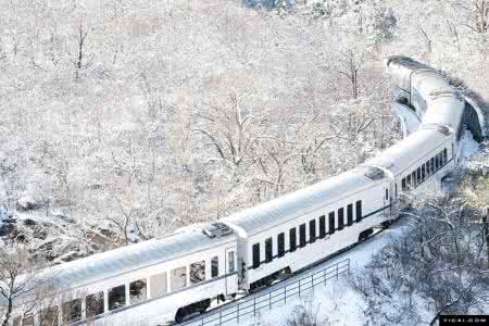 世界之花 惊艳北京 北京这趟6块钱的列车，惊艳了整个四季