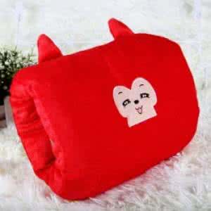 暖手抱枕 暖手抱枕 【暖手抱枕】暖手抱枕哪种好