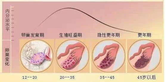 卵巢功能衰退的症状 卵巢功能衰退吃什么好 卵巢衰退有什么症状吗