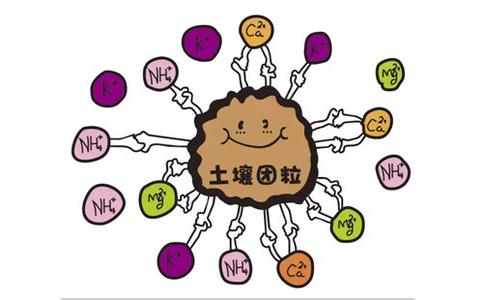 冒险岛揭示秘密 揭示点经气交换的秘密