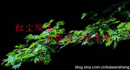 孤独惆怅 陌上书影 || 暗自孤惆,君影屏前现
