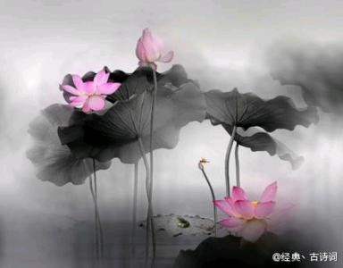 人生在于心安 人的美在于他的本身,在于他的心