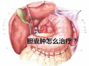 胆囊炎 黄疸型肝炎 张健生     肝炎 黄疸 胆囊炎 胆石症 脾肿大