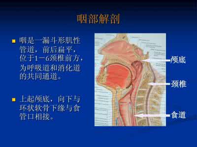 预防咽喉炎 咽喉炎的预防 春季8招清咽喉