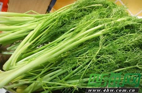 暖胃的食物 寒冷秋冬季暖胃食物值得推荐 茴香你喜欢吗?