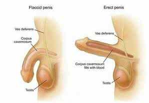 科学解析男人阳痿是什么情况