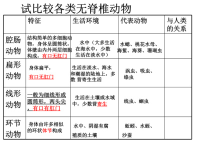 儿童营养与生长发育 幼犬生长发育所需营养一览