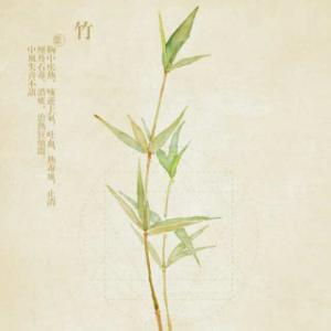 闲看儿童捉柳花 初夏时节,闲看儿童捉柳花