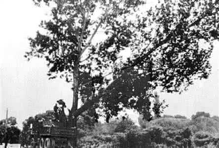 第二次朝鲜战争 揭秘：一棵白杨树险引发“第二次朝鲜战争”