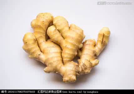 什么样的生姜最好 生姜是姜的哪个部位
