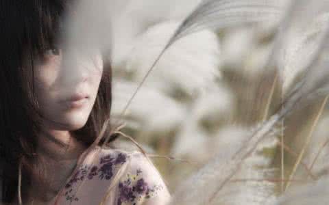 关于端午节花芬芳美文 九月，写满了记忆的芬芳【情感美文】