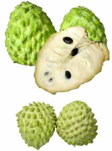 释迦果怀孕可以吃吗 孕妇能吃释迦果吗